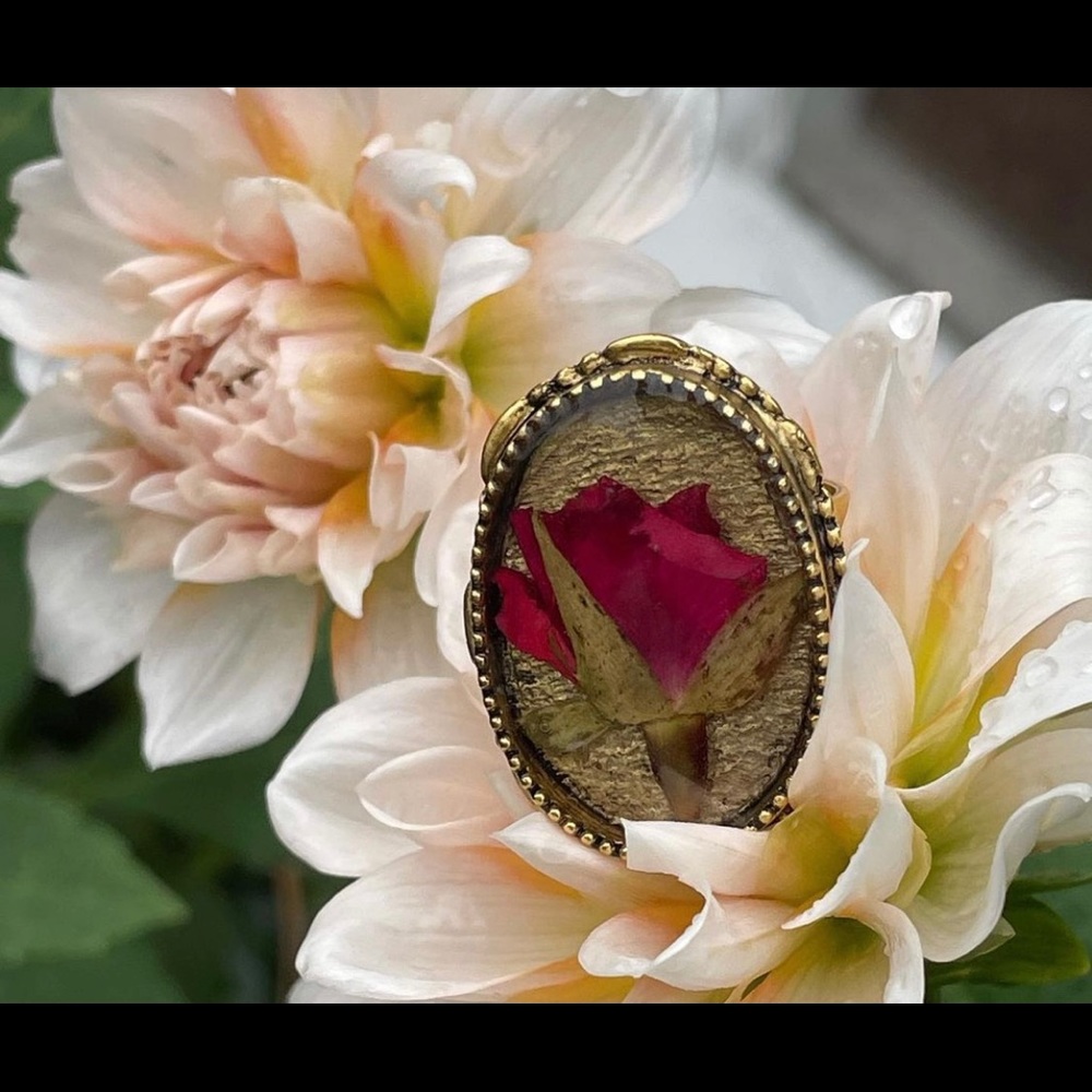 Rose ornate adjustable band ring